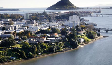 Tauranga