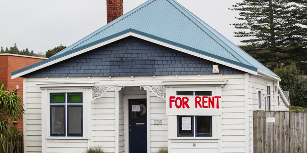 Auckland median rent