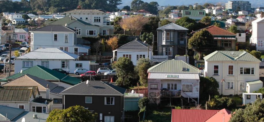 NZ suburbs