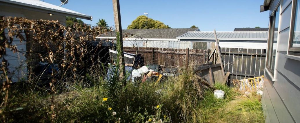 slum landlord