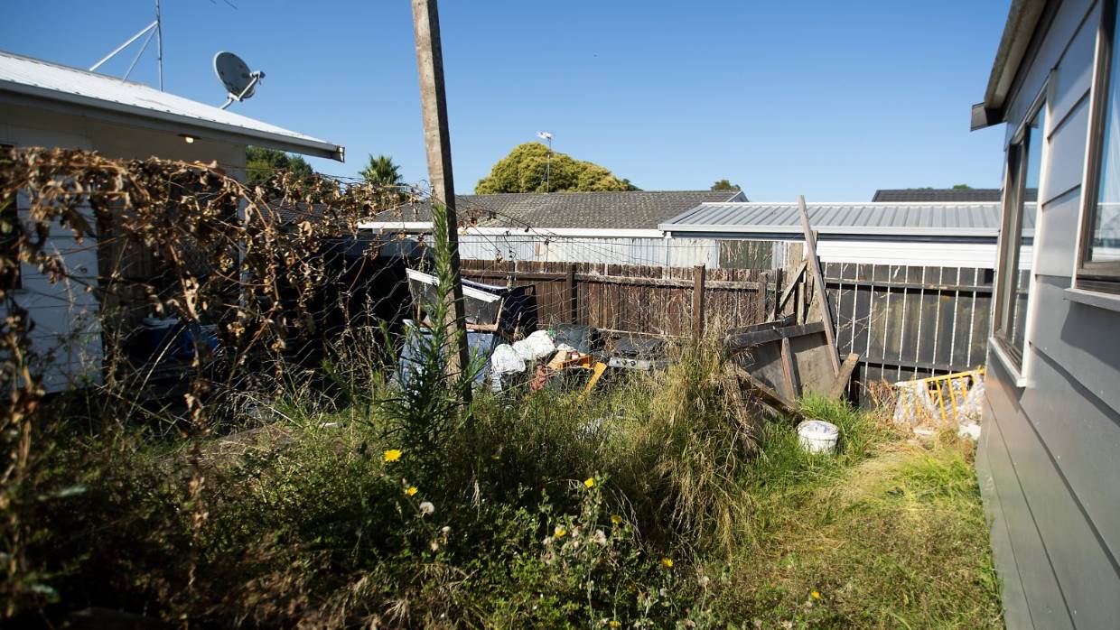 slum landlord
