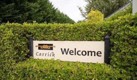 Carrick Vineyard