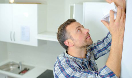 Landlords