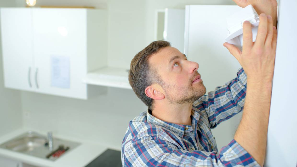 Landlords