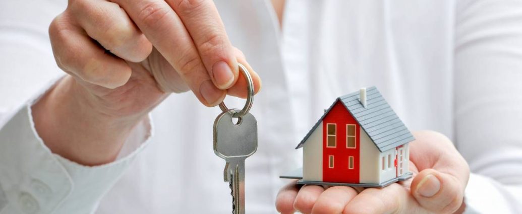 Auckland property market