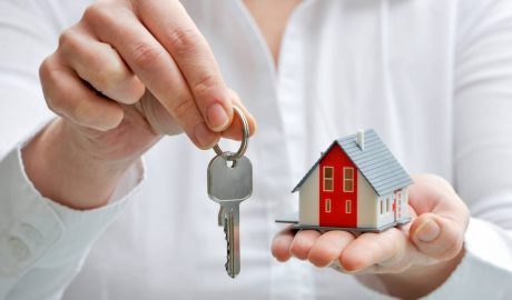 Auckland property market