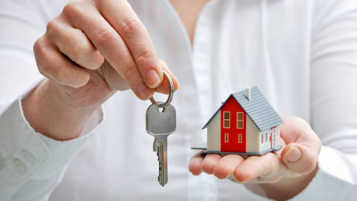 Auckland property market