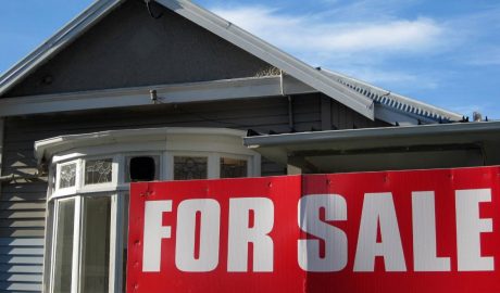 real estate agent