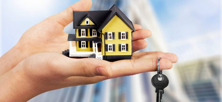real estate agent