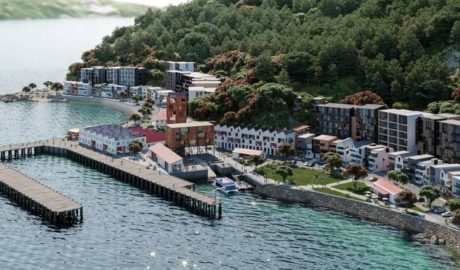 Shelly Bay