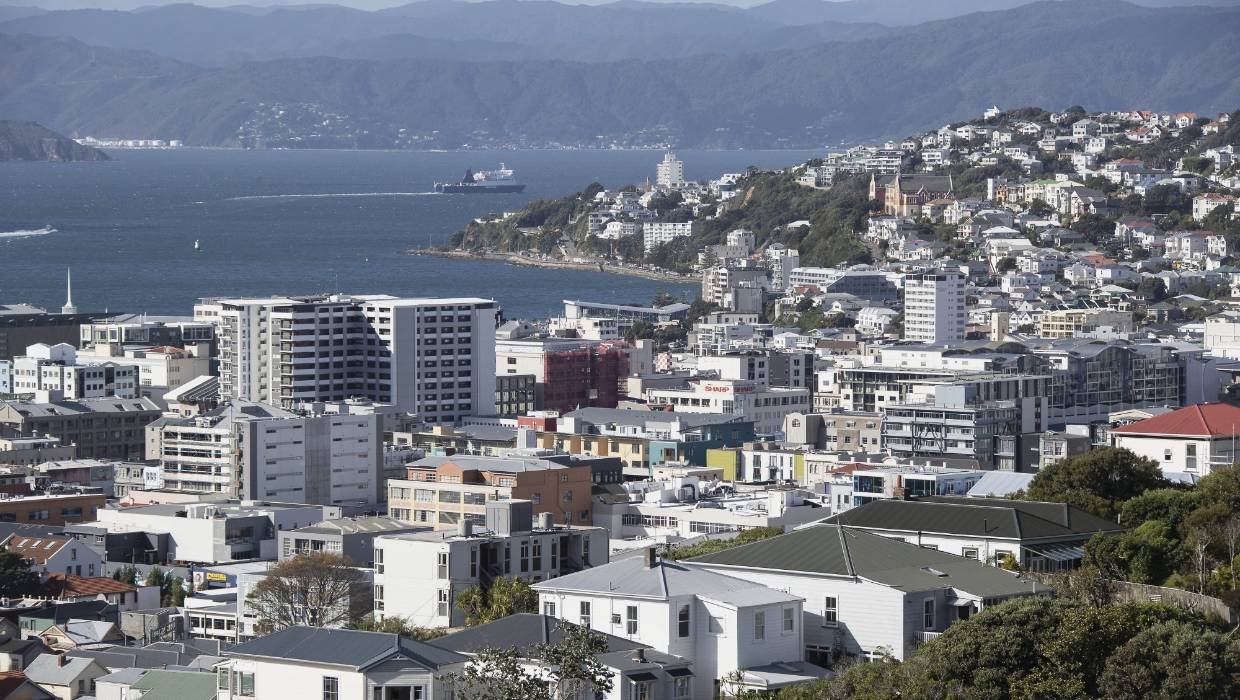 Wellington Property Market