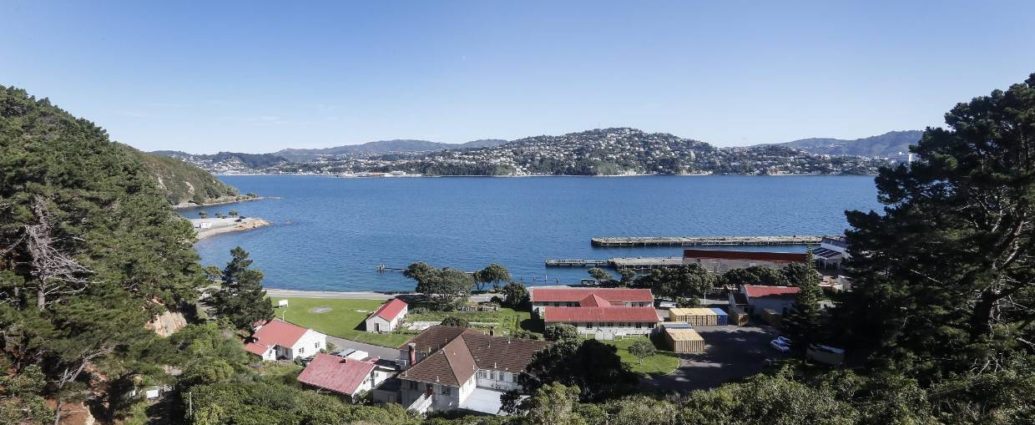 Shelly Bay