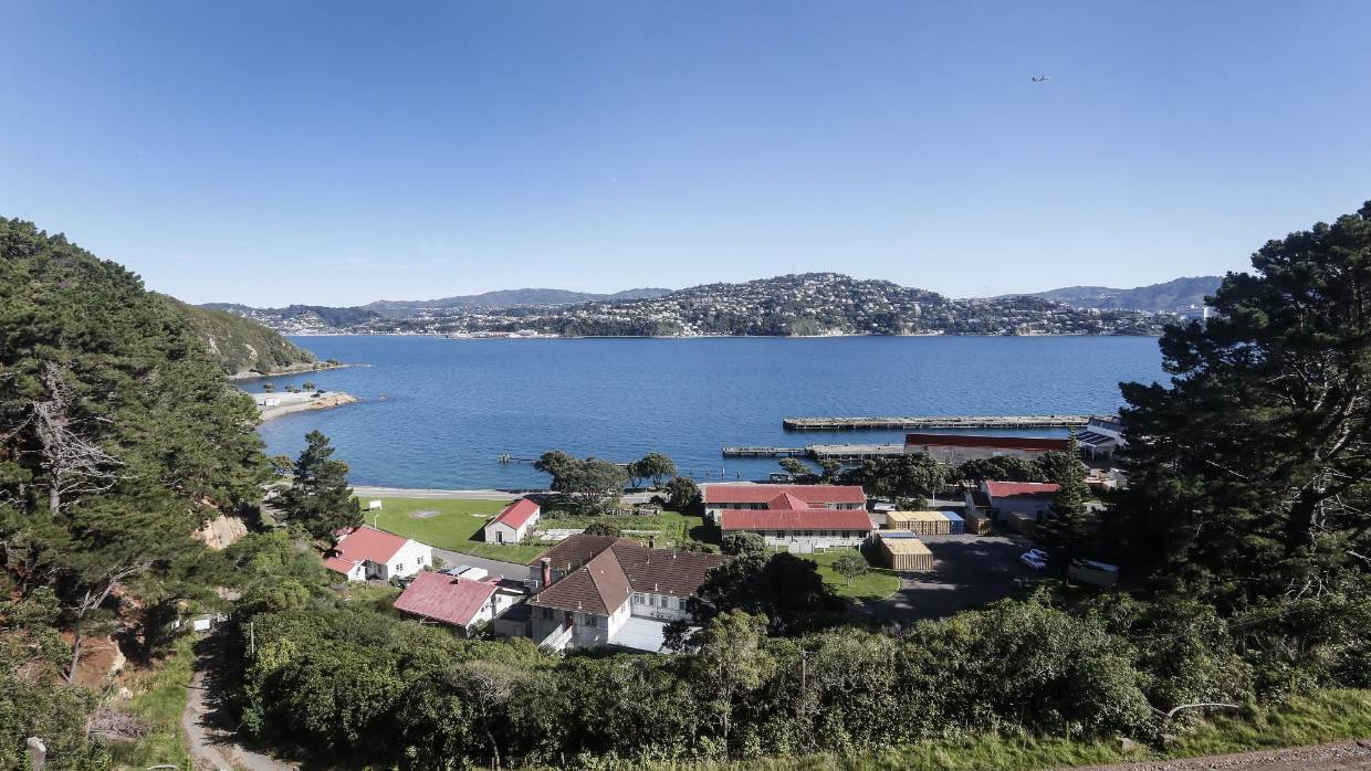 Shelly Bay