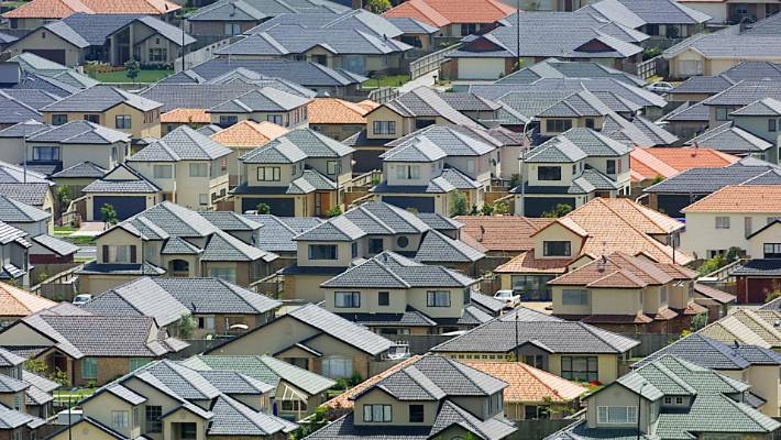 Auckland houses prices