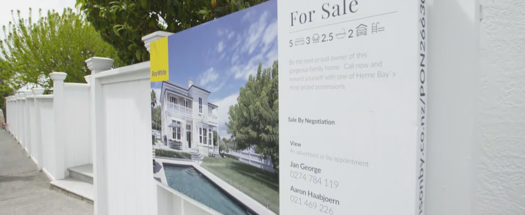Auckland property bounce