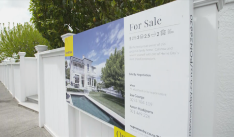 Auckland property bounce