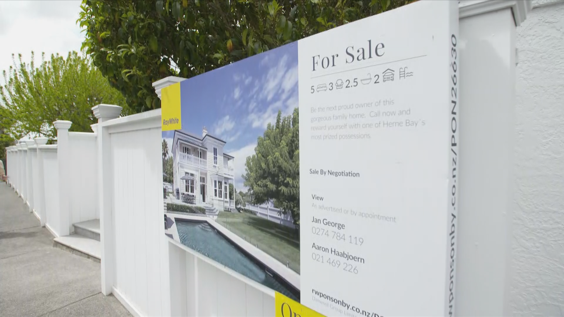 Auckland property bounce