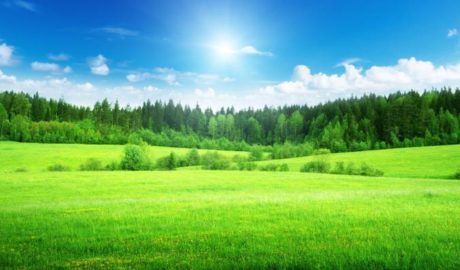 bare block of land
