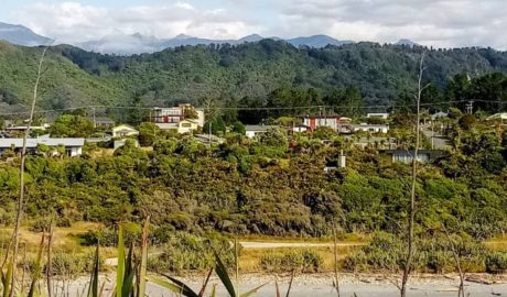 gold rush land
