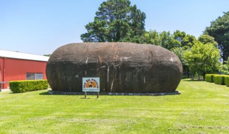 Big Potato