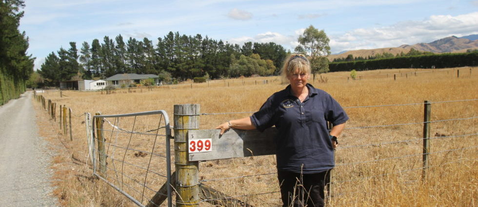 Carterton property