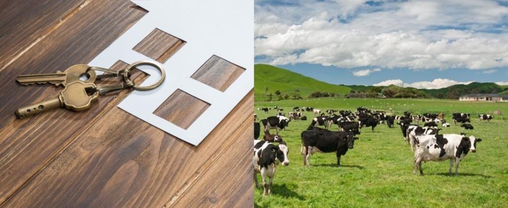 Dairy farm sales