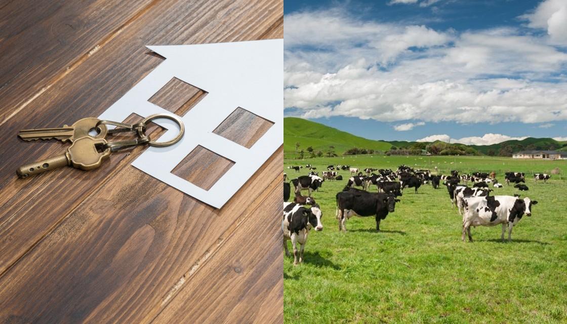 Dairy farm sales