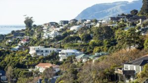 Nelson house prices