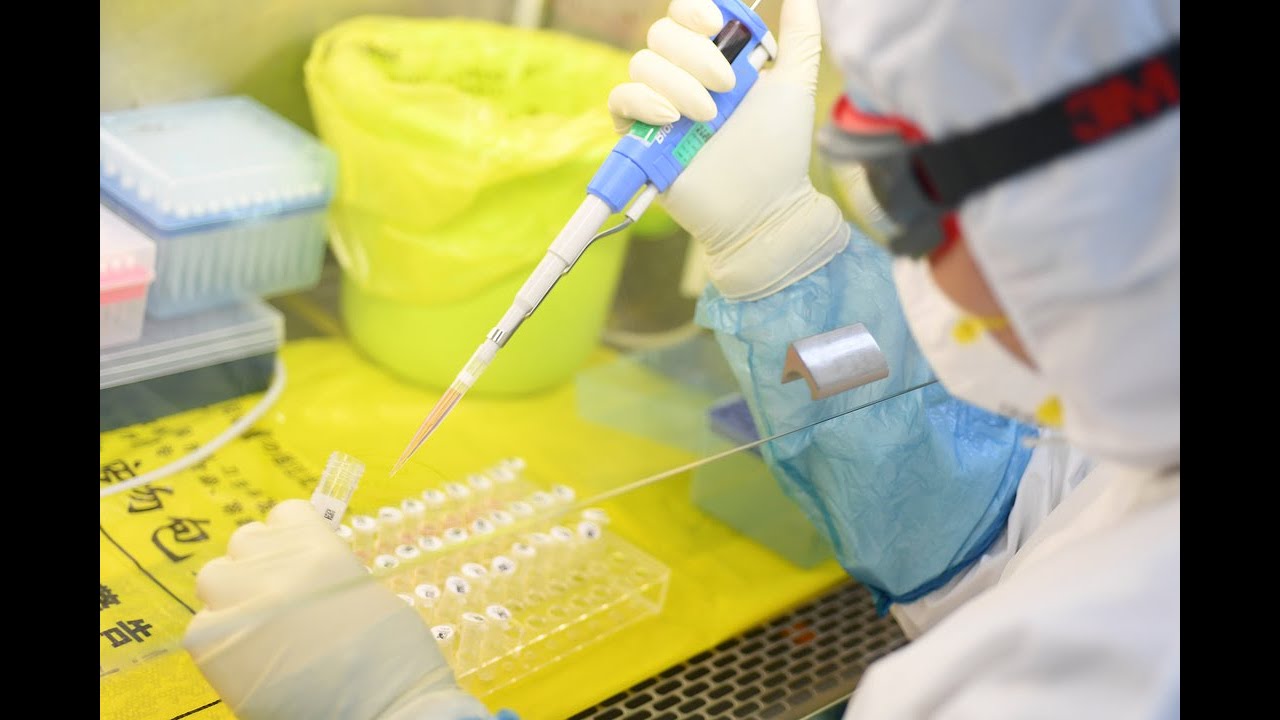 Lab in Wuhan