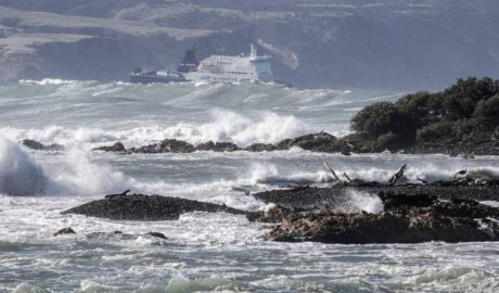 Wellington's South Coast