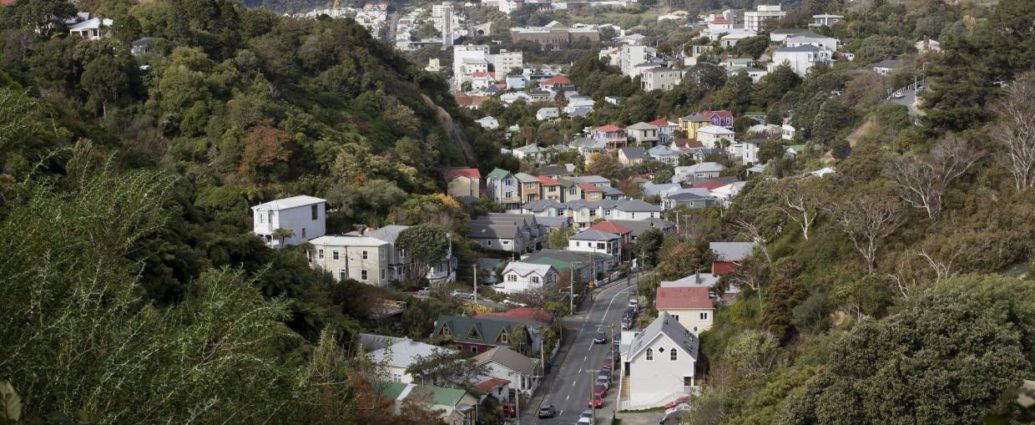 NZ Property