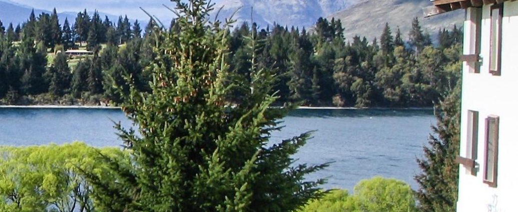 Queenstown Lakes