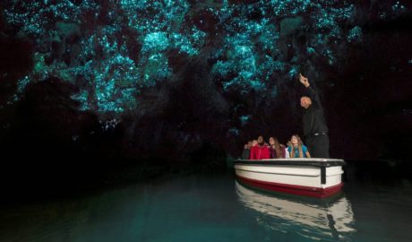 Waitomo Caves