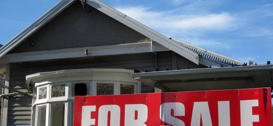 Auckland agent