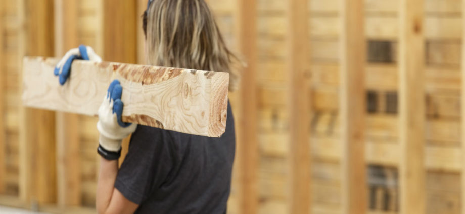 house-building subsidy