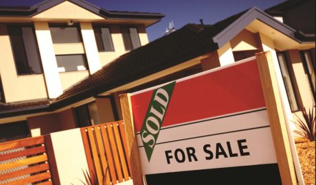 NZ Property Market