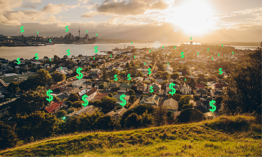 NZ housing market