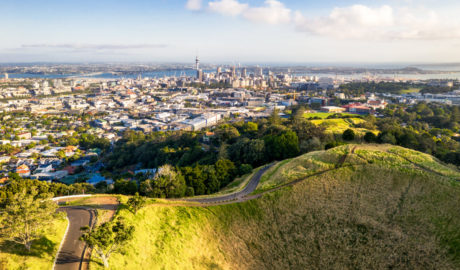 Auckland property market