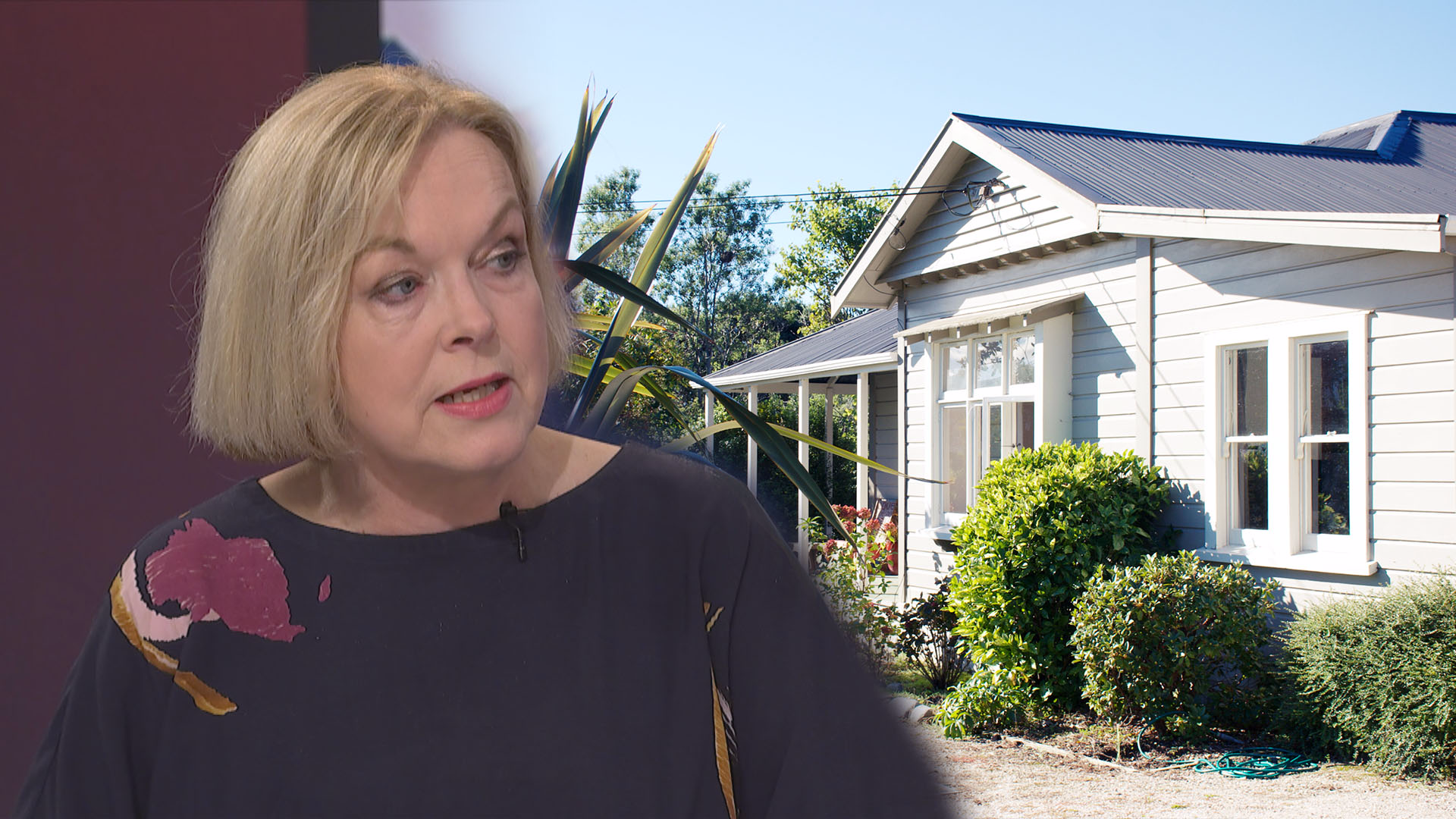 Judith Collins