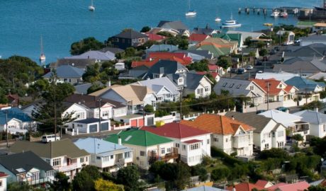 NZ housing