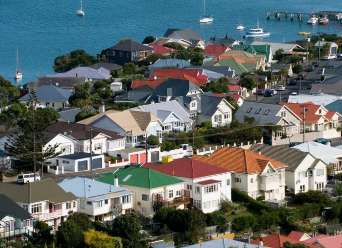 NZ housing