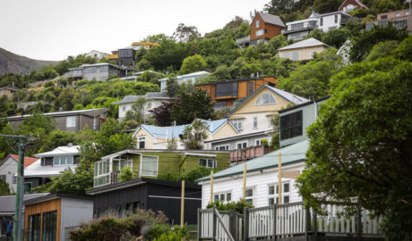 New ANZ report