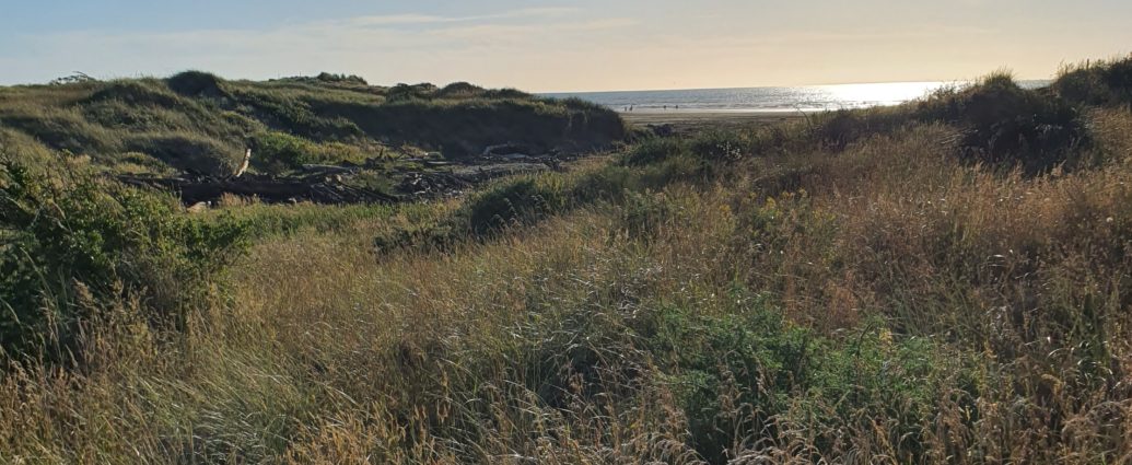 Waitarere Beach
