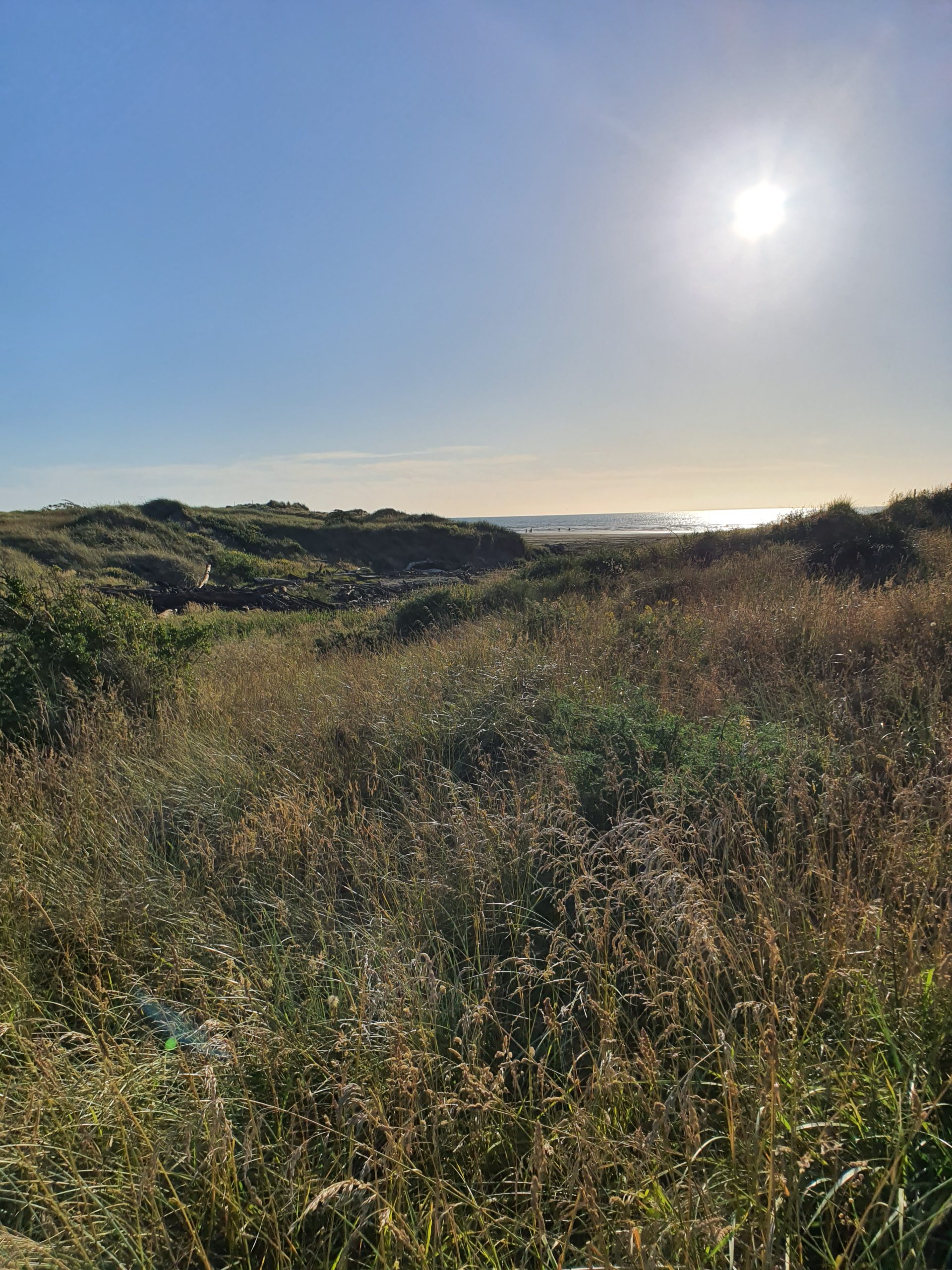 Waitarere Beach