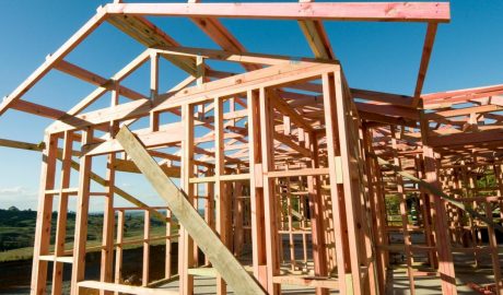 timber shortage