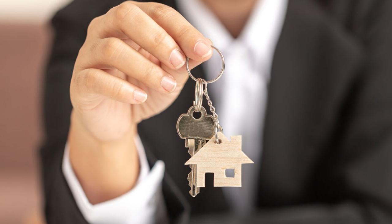 NZ house Prices