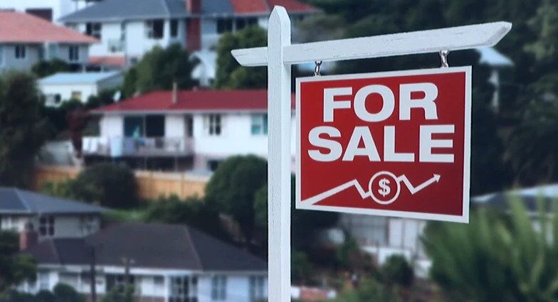 NZ property