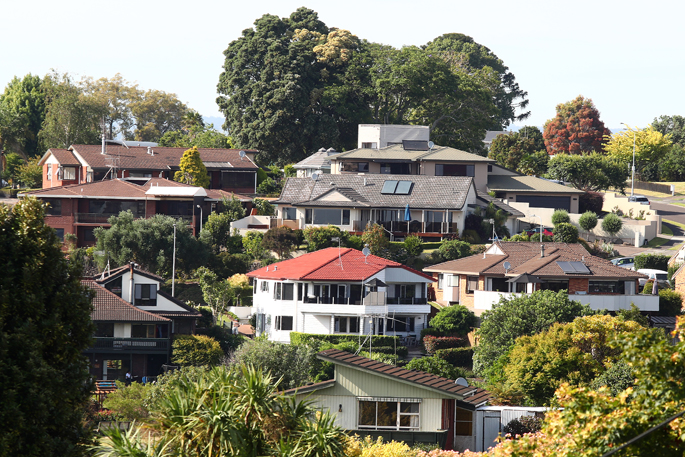 Tauranga