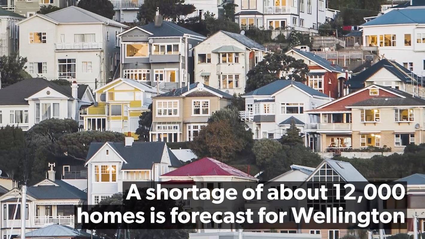 Wellington housing