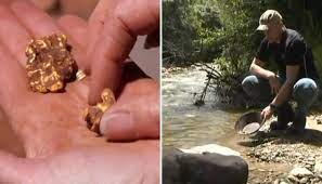 Gold fever